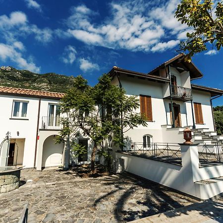Tenuta Calitto Wine Resort E Spa Ischia Dış mekan fotoğraf