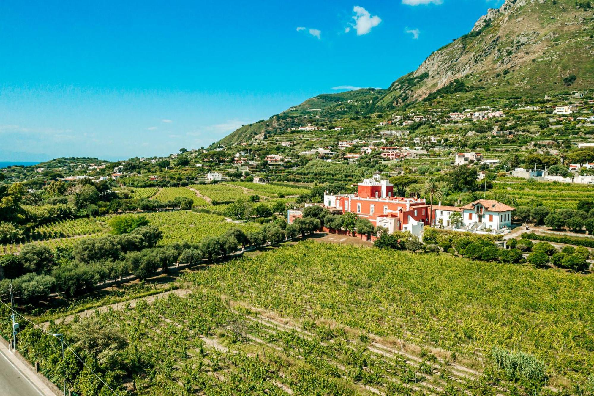 Tenuta Calitto Wine Resort E Spa Ischia Dış mekan fotoğraf