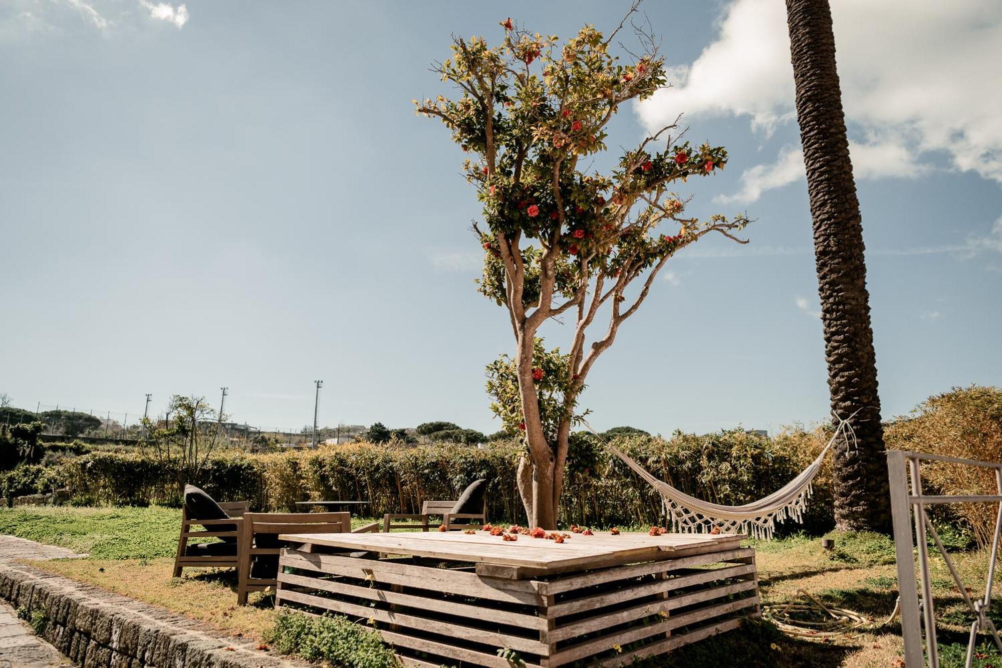 Tenuta Calitto Wine Resort E Spa Ischia Dış mekan fotoğraf