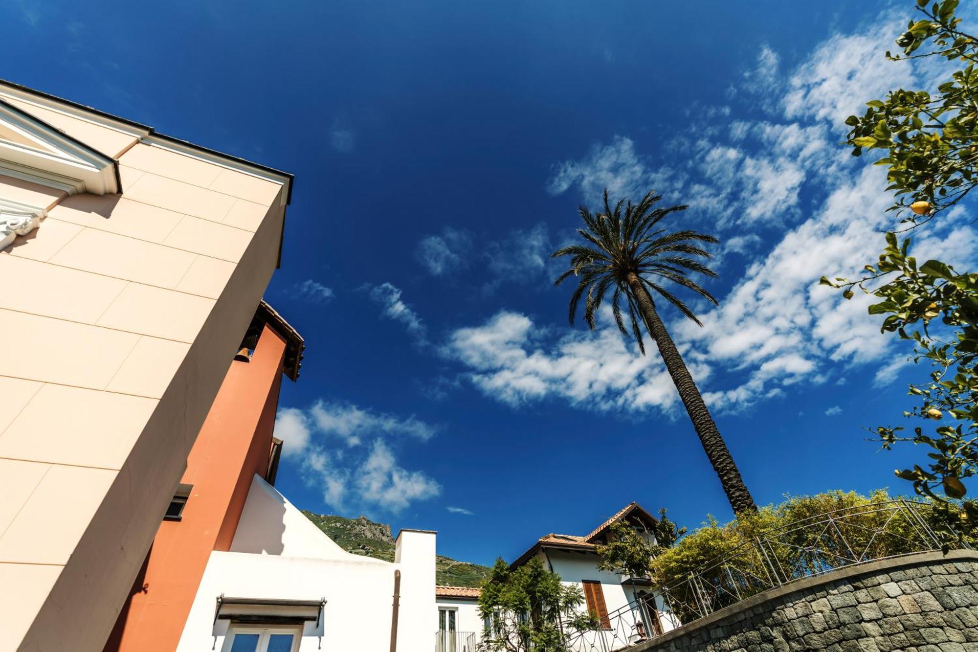 Tenuta Calitto Wine Resort E Spa Ischia Dış mekan fotoğraf