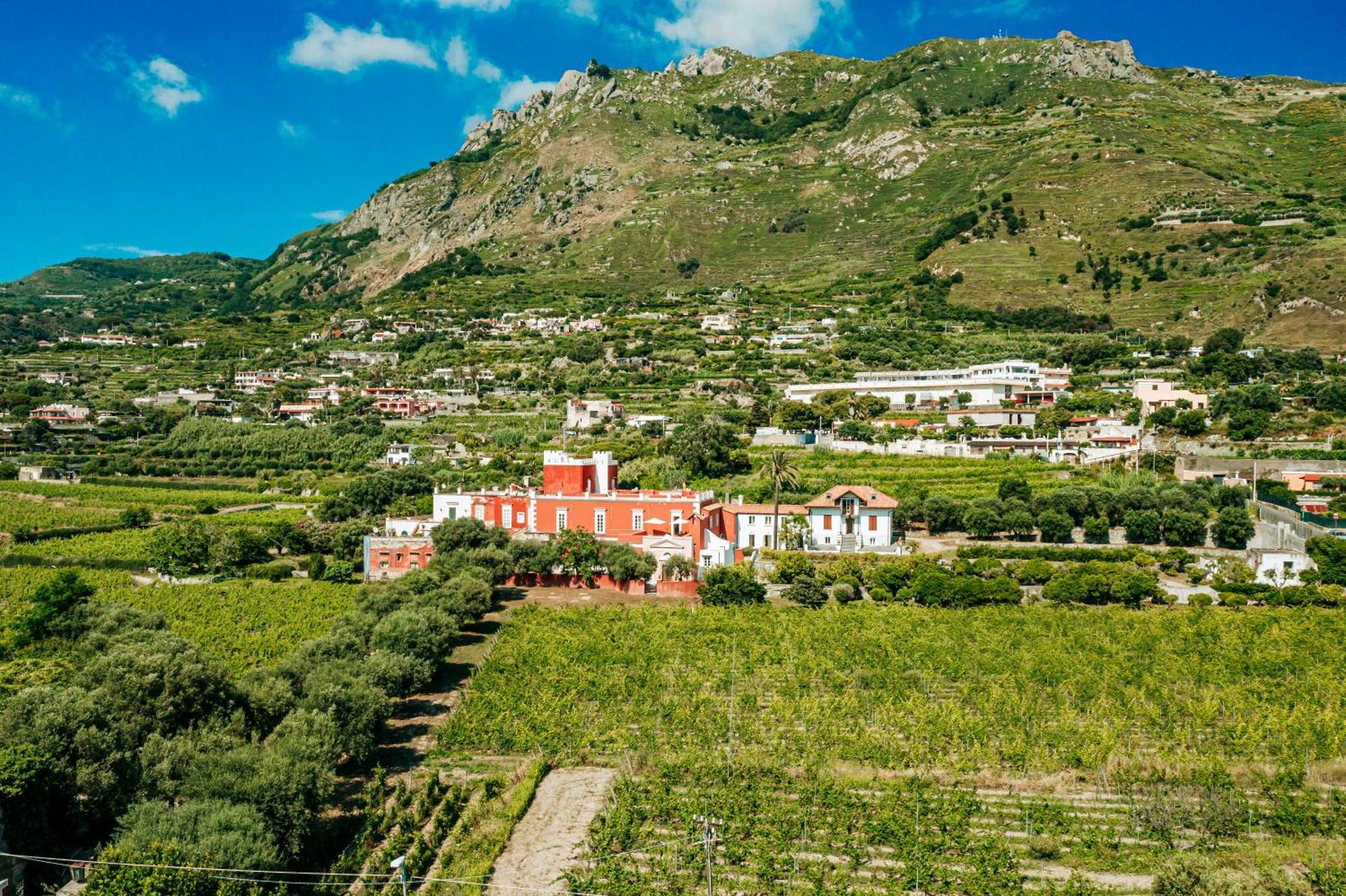 Tenuta Calitto Wine Resort E Spa Ischia Dış mekan fotoğraf