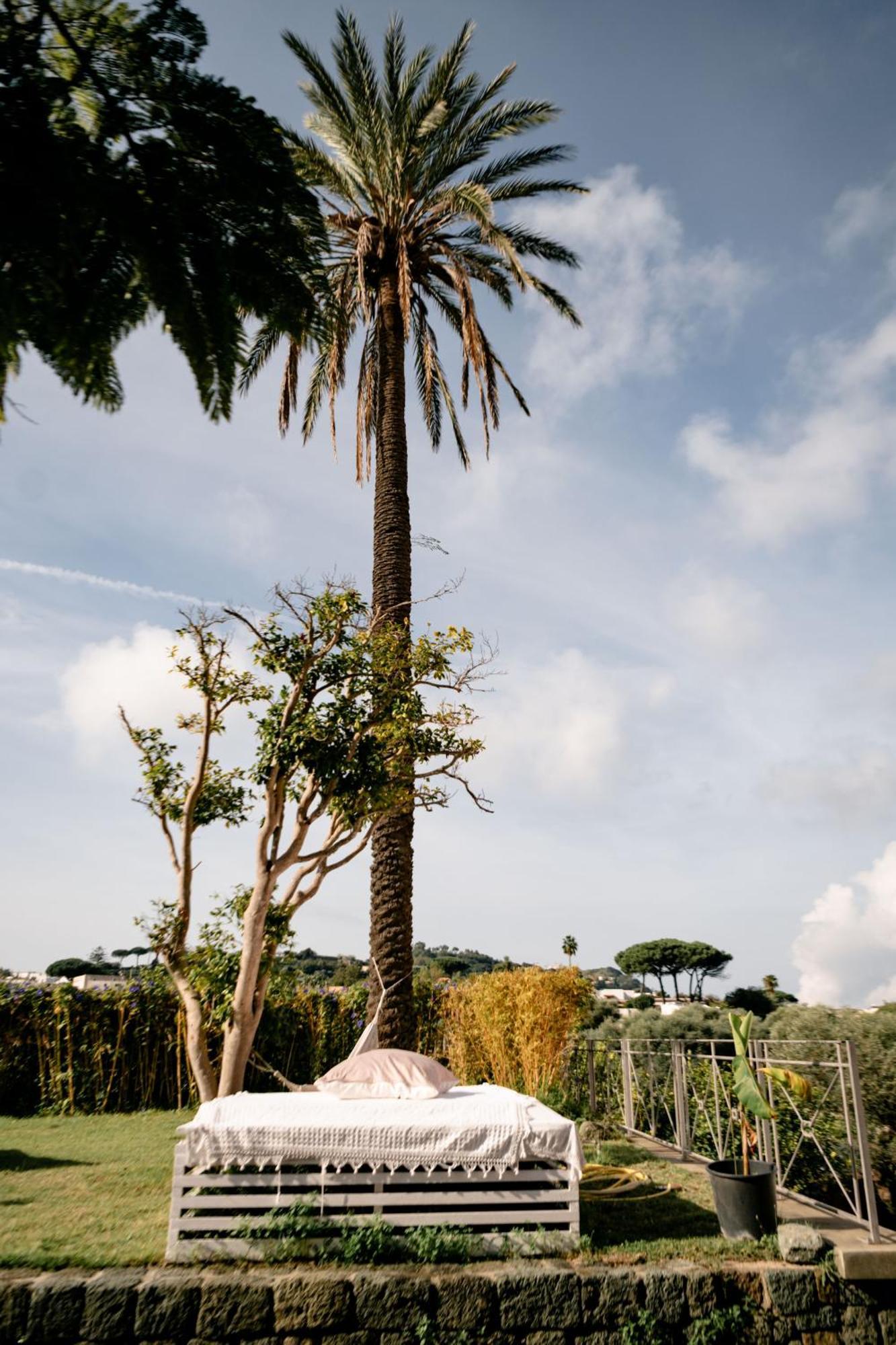 Tenuta Calitto Wine Resort E Spa Ischia Dış mekan fotoğraf