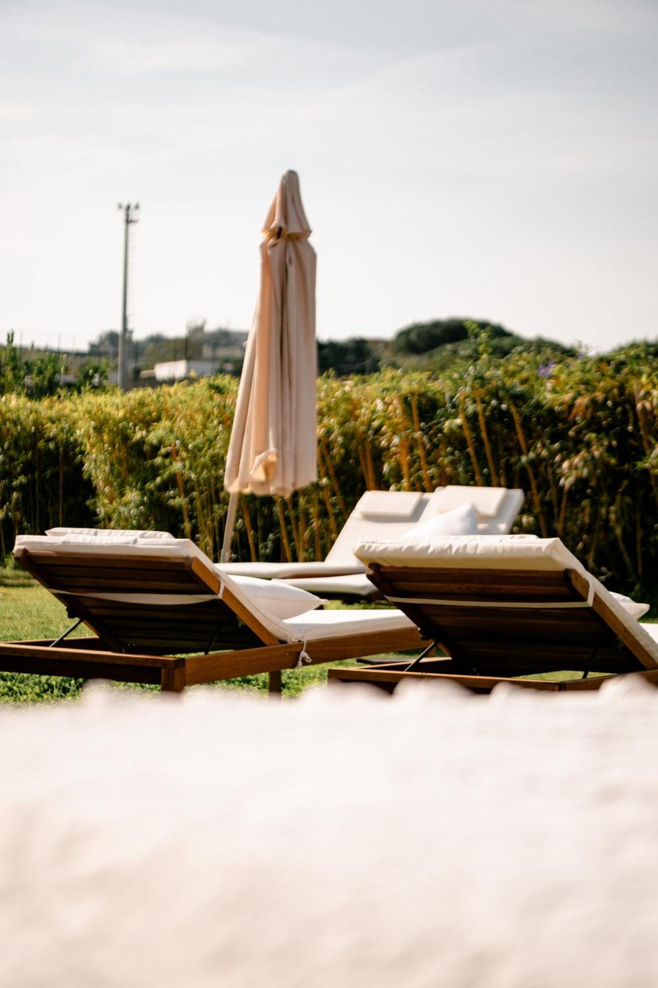 Tenuta Calitto Wine Resort E Spa Ischia Dış mekan fotoğraf